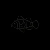 PAUL HEWITT Tattoo Small | Tattoo Small>Clownfish Tattoo