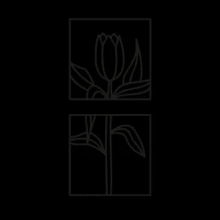 PAUL HEWITT Tattoo Medium | Tattoo Medium>Flower Tattoo