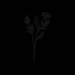 PAUL HEWITT Tattoo Medium | Tattoo Medium>Flower Tattoo