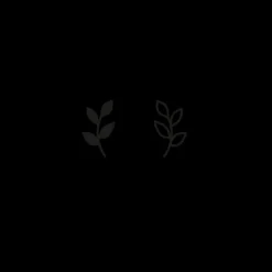 PAUL HEWITT Tattoo Medium | Tattoo Medium>Friendship Sea Plants Tattoo
