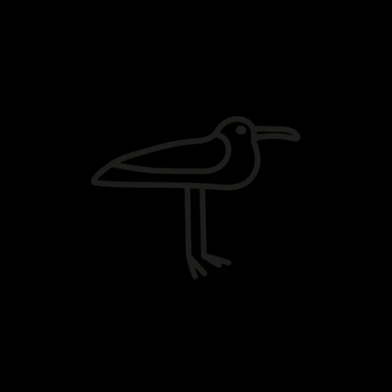 PAUL HEWITT Tattoo Small | Tattoo Small>Men's Seagull Tattoo