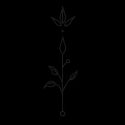 PAUL HEWITT Tattoo Medium | Tattoo Medium>Plant Ornament Tattoo