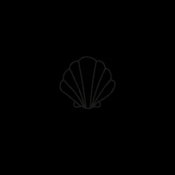 PAUL HEWITT Tattoo Small | Tattoo Small>Scallop Shell Tattoo