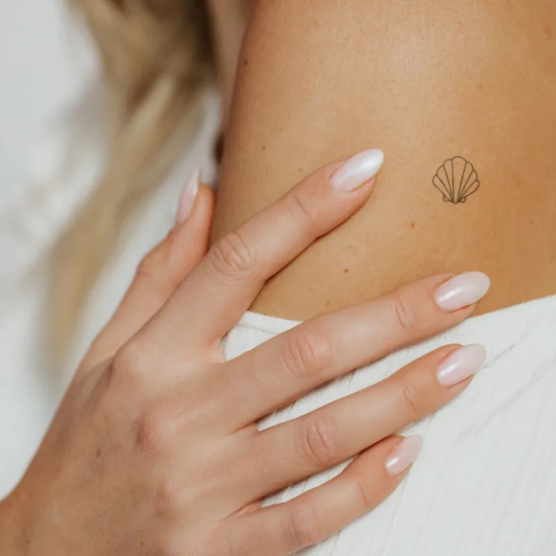 PAUL HEWITT Tattoo Small | Tattoo Small>Scallop Shell Tattoo
