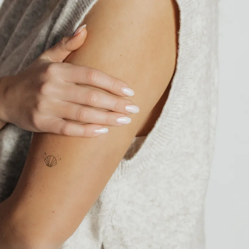 PAUL HEWITT Tattoo Small | Tattoo Small>Scallop Shell Tattoo