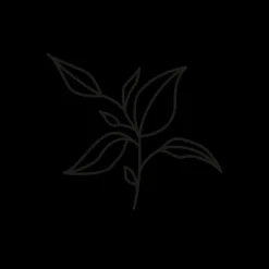 PAUL HEWITT Tattoo Small | Tattoo Small>Sea Plant Tattoo