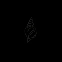 PAUL HEWITT Tattoo Small | Tattoo Small>Sea Shell Tattoo