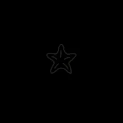 PAUL HEWITT Tattoo Small | Tattoo Small>Sea Star Tattoo