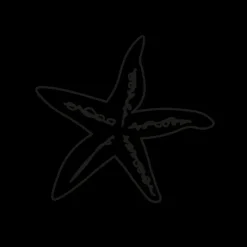 PAUL HEWITT Tattoo Medium | Tattoo Medium>Sea Star Tattoo