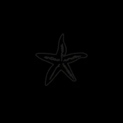 PAUL HEWITT Tattoo Medium | Tattoo Medium>Sea Star Tattoo