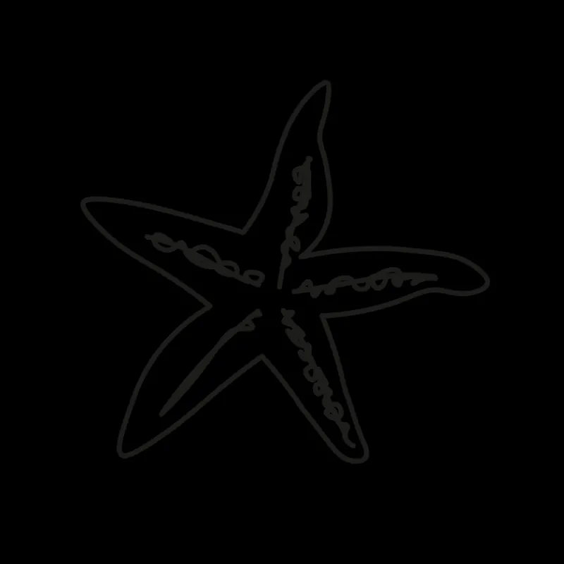 PAUL HEWITT Tattoo Medium | Tattoo Medium>Sea Star Tattoo