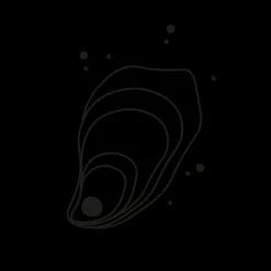 PAUL HEWITT Tattoo Medium | Tattoo Medium>Shell Tattoo