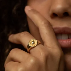 PAUL HEWITT Ringe>Turtle Signet Ring