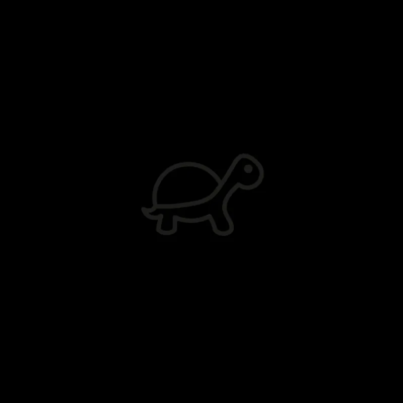 PAUL HEWITT Tattoo Small | Tattoo Small>Turtle Tattoo