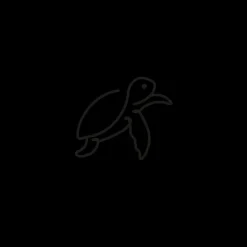 PAUL HEWITT Tattoo Small | Tattoo Small>Turtle Tattoo