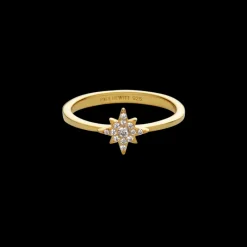 PAUL HEWITT Ringe>Windrose Mono Ring