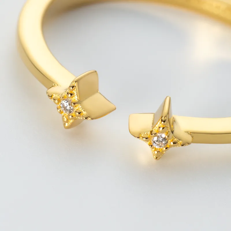 PAUL HEWITT Ringe>Windrose Open Stars Ring